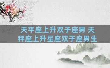 天平座上升双子座男 天秤座上升星座双子座男生